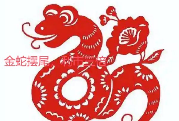 别后频收尺素书指代表什么生肖；解释作答落实解答