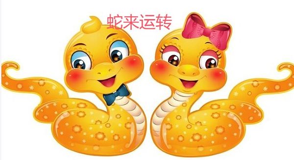 听其自流打一精准生肖，最佳释义解析成语