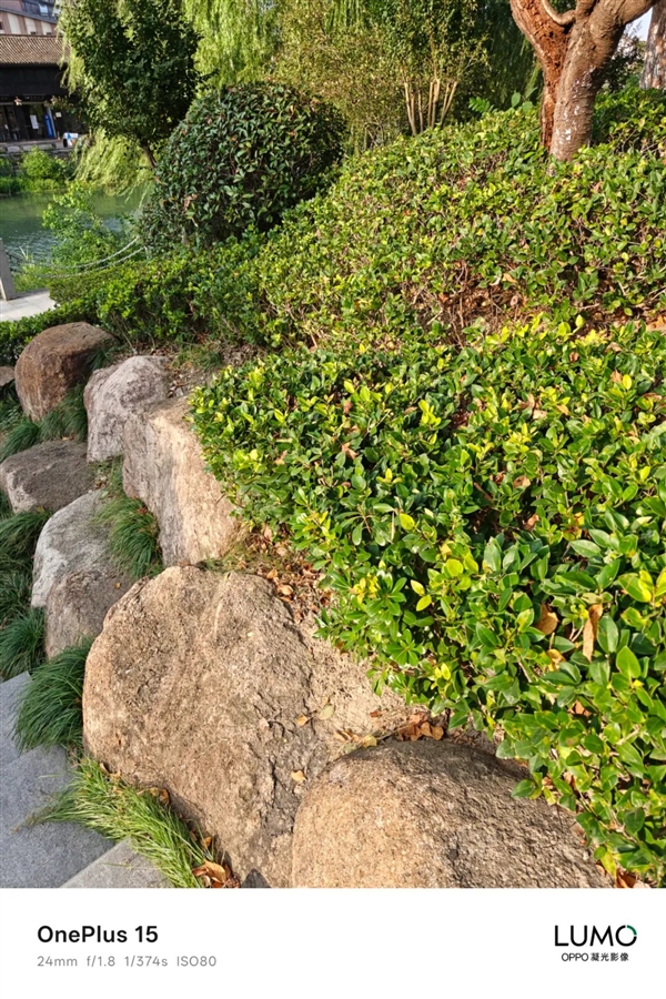 3999的一加15 好像心甘情愿当子品牌了