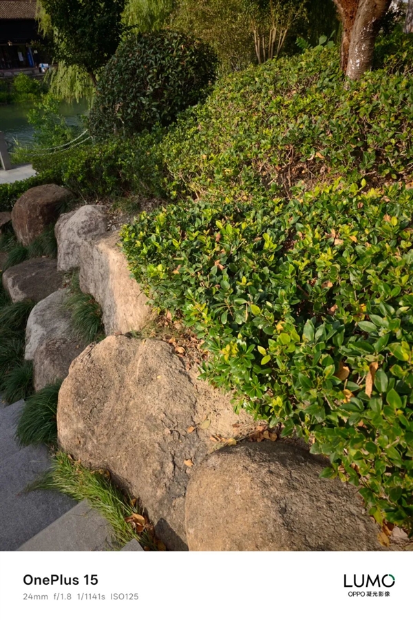 3999的一加15 好像心甘情愿当子品牌了