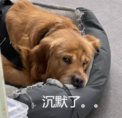 为了吸引你买手机 厂商们已经开始在参数页上动起手脚了