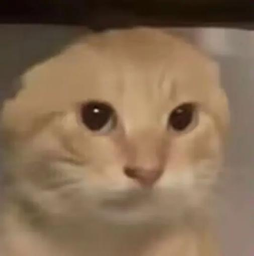 十年磨一剑 美国人搞出了杜绝酒驾的工具