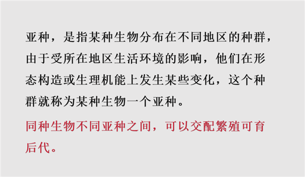 北美长颈鹿变混血 基因不纯失去保护价值:或成“同事”食物