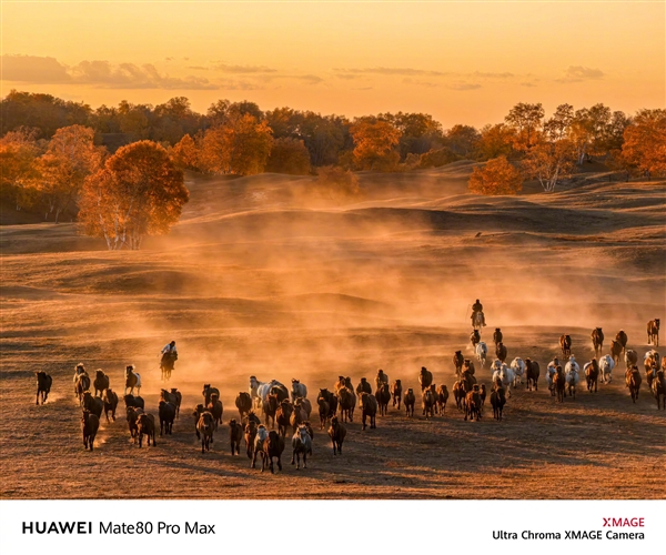 何刚晒华为Mate 80系列实拍样张:红枫影像色彩表现一绝