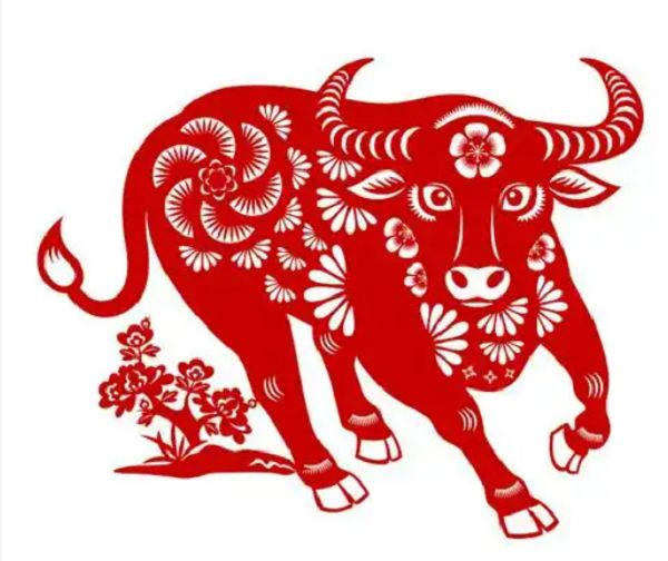 修旧利废打一最佳正确生肖，成语落实解答分析