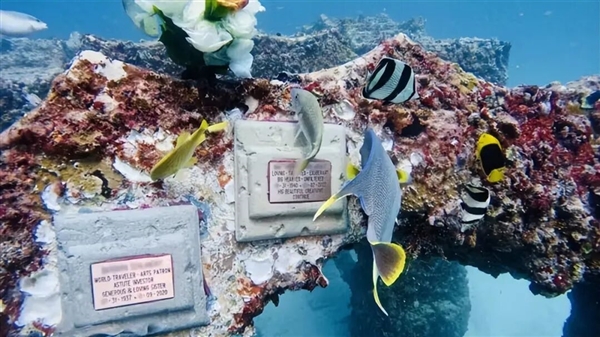 迈阿密将22辆“汽车”推入海底 给珊瑚当家