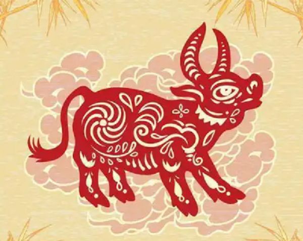 三写易字是指什么生肖，最佳释义解析成语