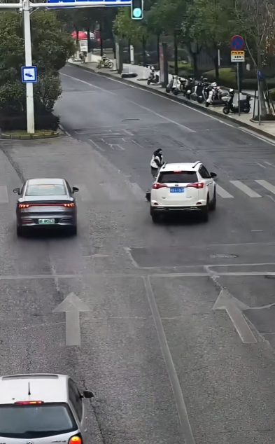 女子骑电动滑板车摔倒在路口 爬起继续闯红灯 结果鬼探头被撞