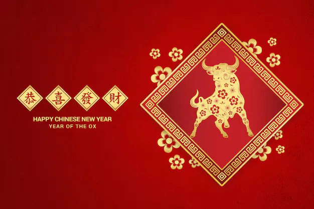 燕巢危幕指是什么生肖，精选词语释义详解