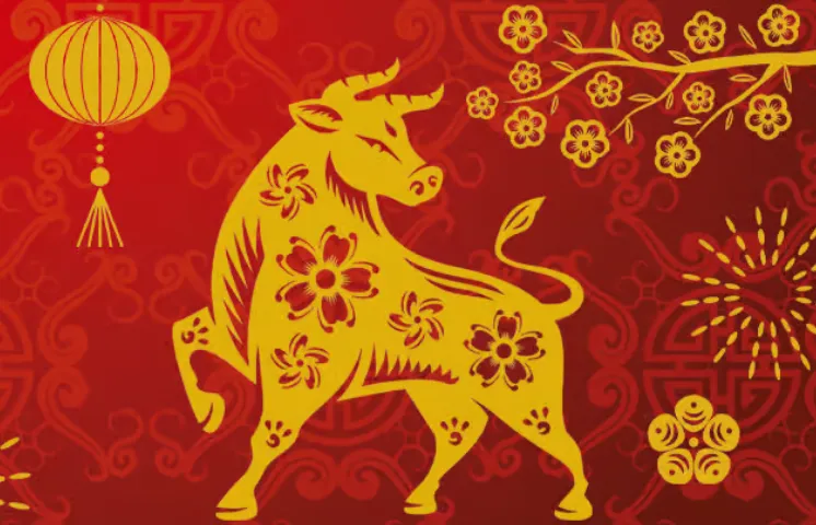 【今日独家释义】恃才傲物最佳解释是什么生肖，解读成语释义解释