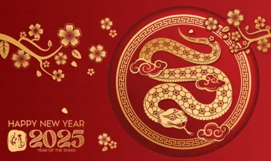 一生无从安享过，二码独自赢利先是什么生肖，释义解答精准落实