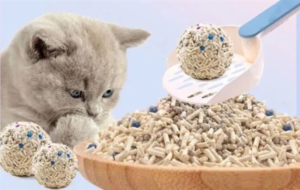 卖的比米都贵的猫砂 却根本不赚钱？