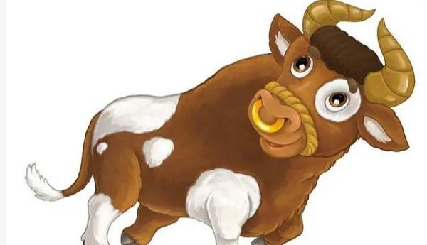 花闭月羞指是什么生肖，最佳解释释义答案