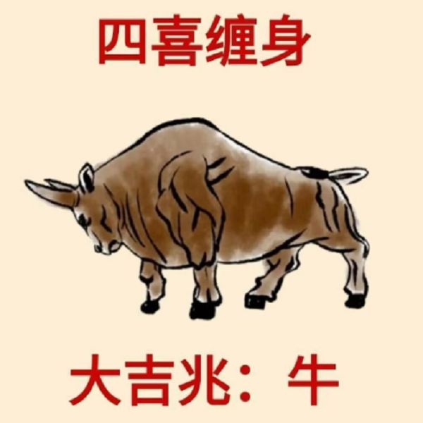 半斤八两代表指什么生肖，精选落实解释