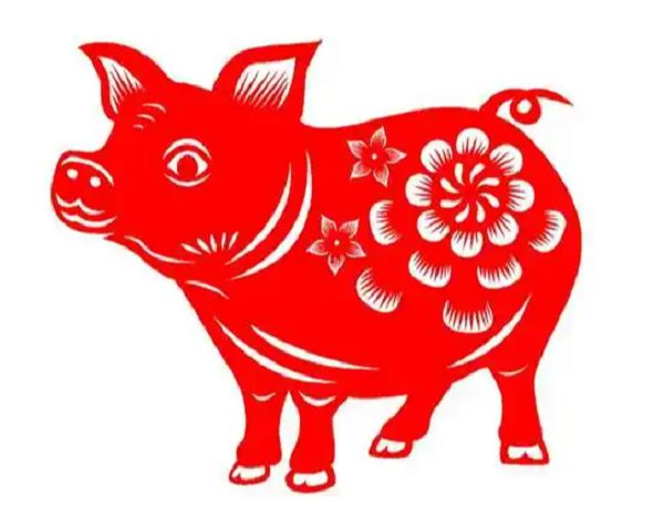 生肖猪