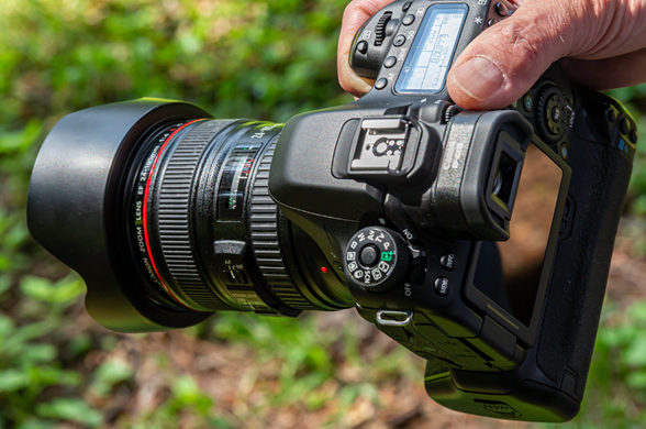 游客因拍照设备太专业被景区驱赶 工作人员:禁止商业拍摄